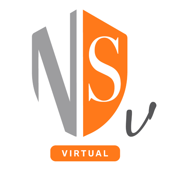 Serie NSv